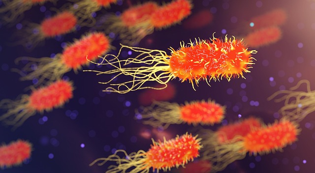 Ca AKG Longevity Supplement: Evidence, Uses, and Future Directions featured image