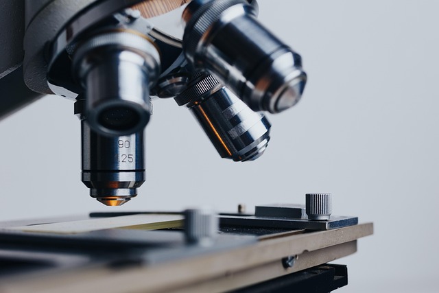 Emerging Longevity Protocols: Practical Outline for Research and Practice featured image