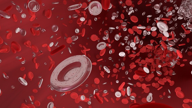 Senolytics for Longevity: Targeting Senescent Cells To Support Healthy Aging featured image
