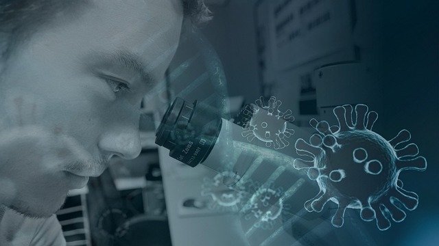Urolithin A Longevity: What the Evidence Actually Shows featured image